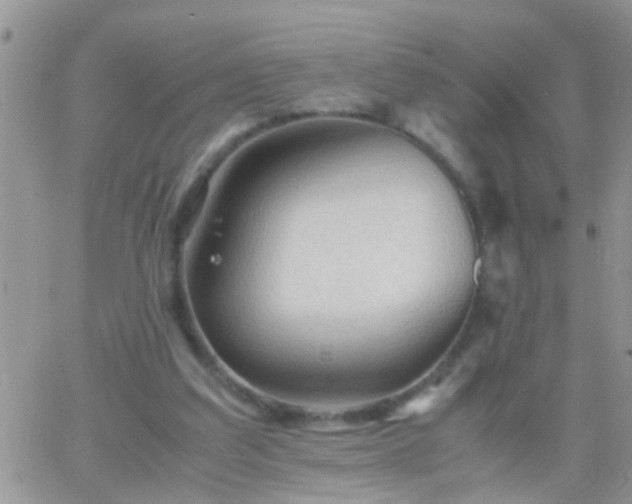 X0000065240203200602242033