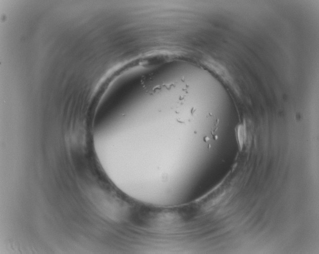 X0000065240204200602242033