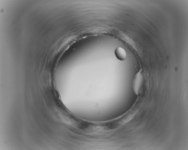 X0000065240205200602242033