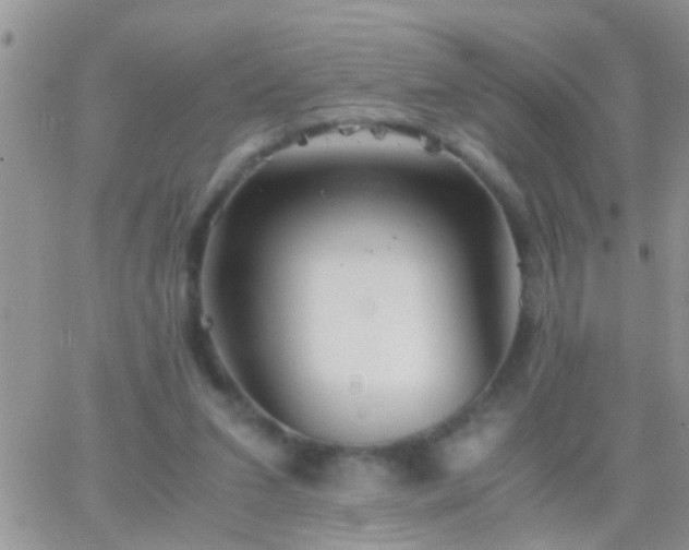 X0000065240207200602242033