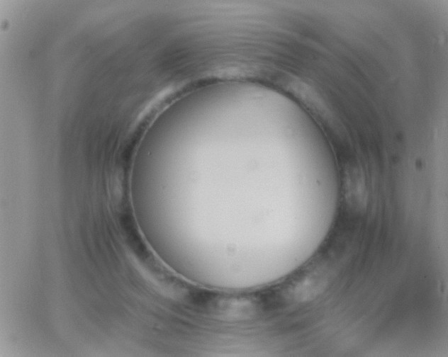 X0000065240208200602242033