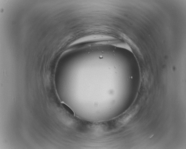 X0000065240209200602242033