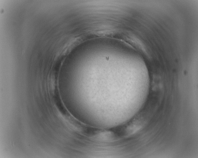 X0000065240210200602242033