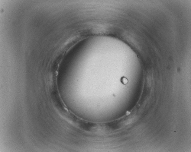 X0000065240211200602242033