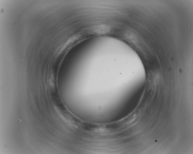 X0000065240212200602242033