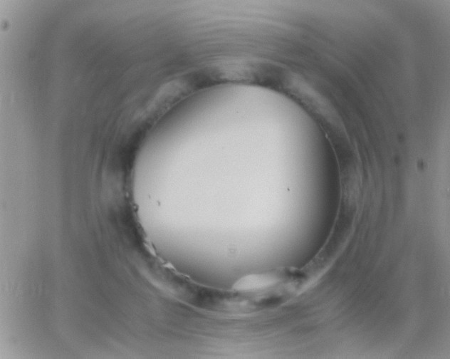 X0000065240213200602242033