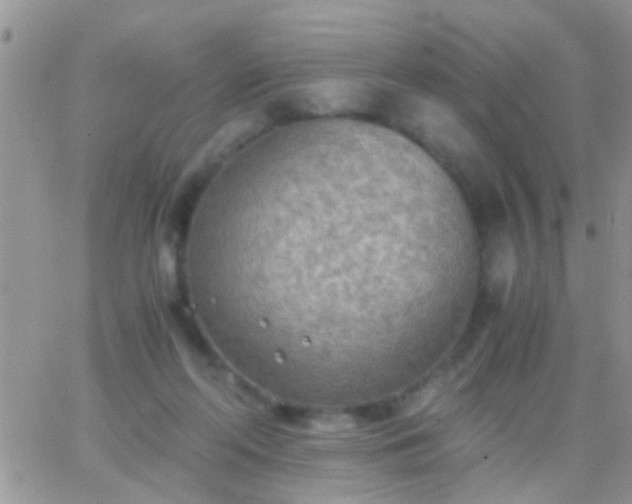 X0000065240214200602242033