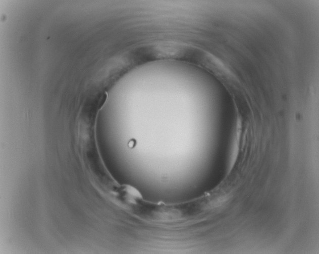 X0000065240215200602242033