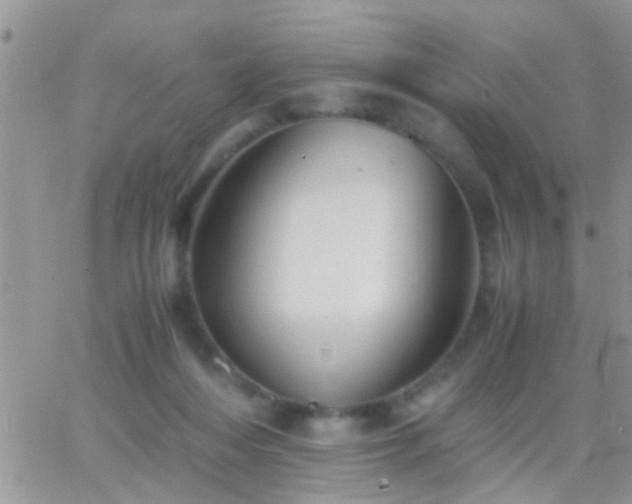 X0000065240216200602242033