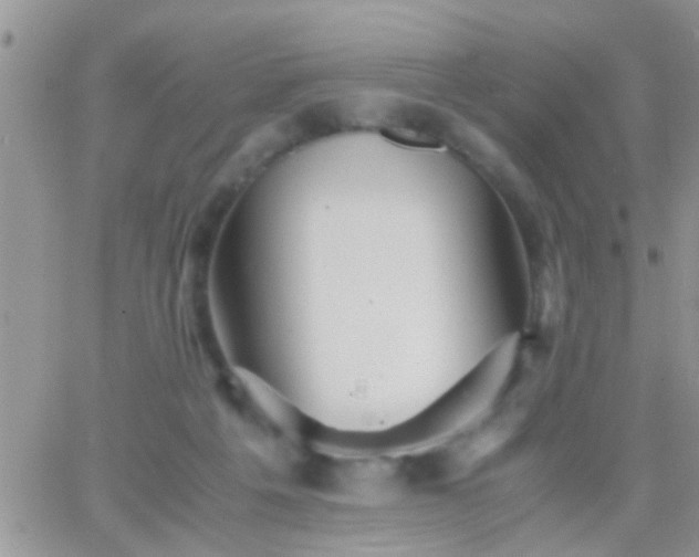 X0000065240217200602242033