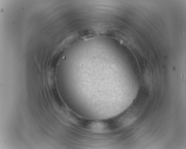 X0000065240218200602242033