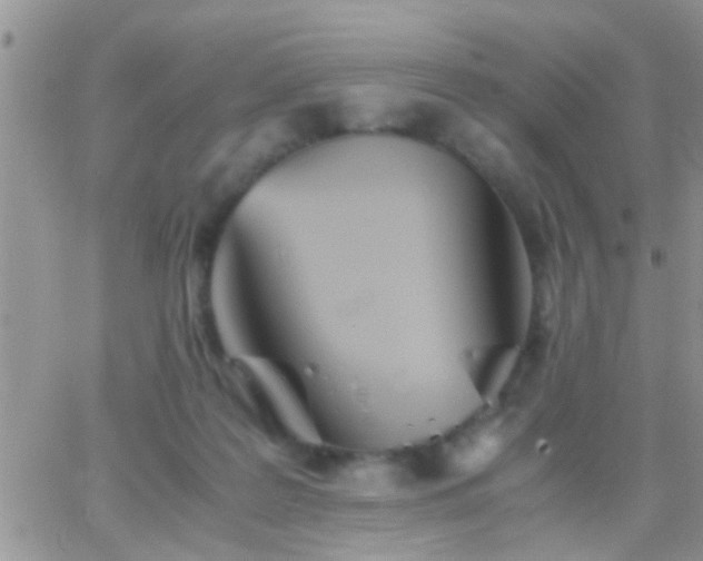 X0000065240219200602242033