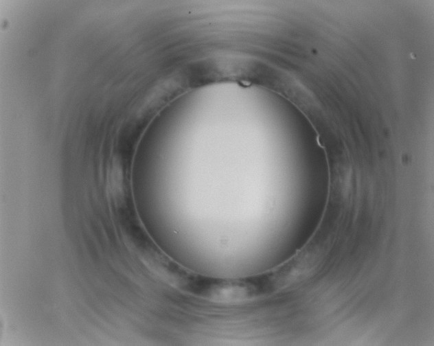 X0000065240220200602242033