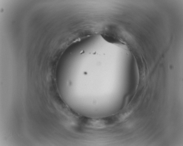 X0000065240221200602242033