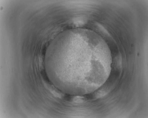 X0000065240222200602242033