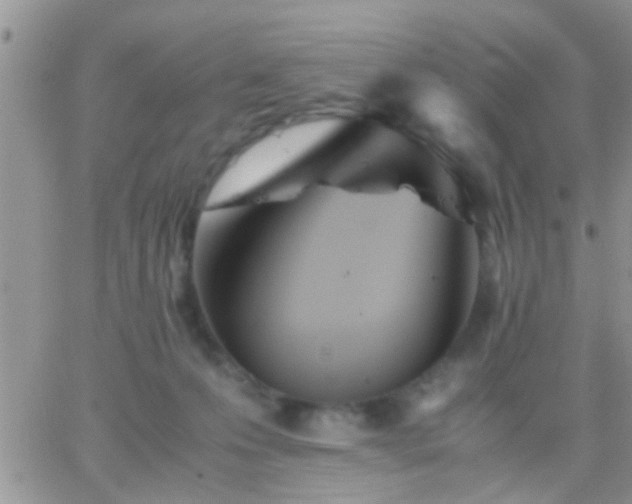 X0000065240223200602242033