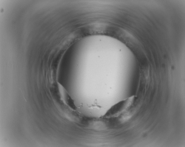 X0000065240224200602242033