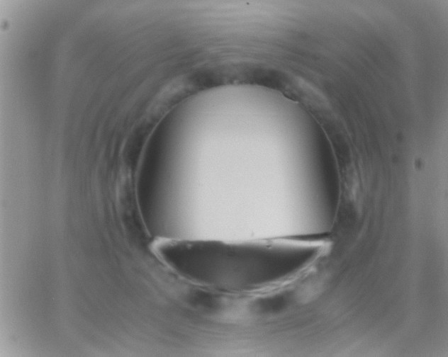 X0000065240225200602242033