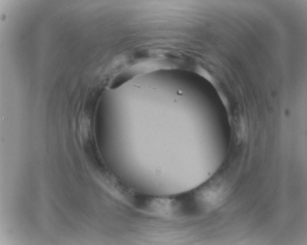 X0000065240227200602242032