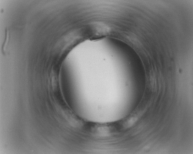 X0000065240228200602242032