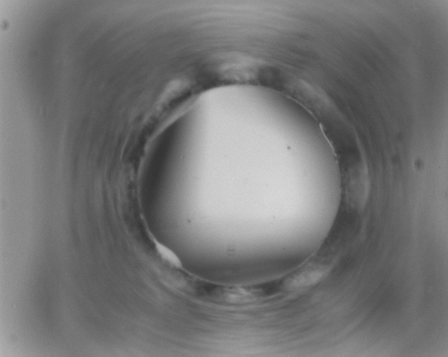 X0000065240229200602242032