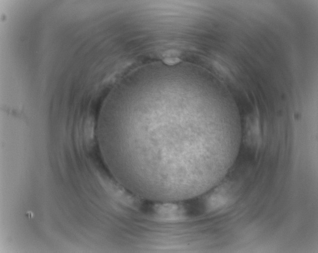 X0000065240230200602242032