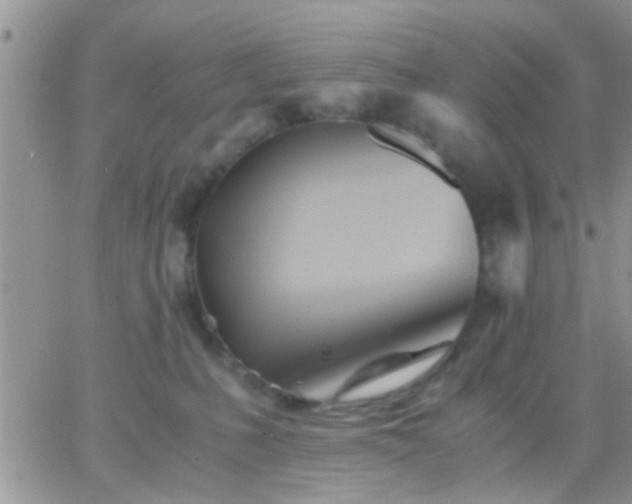 X0000065240231200602242032