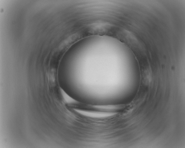 X0000065240232200602242032