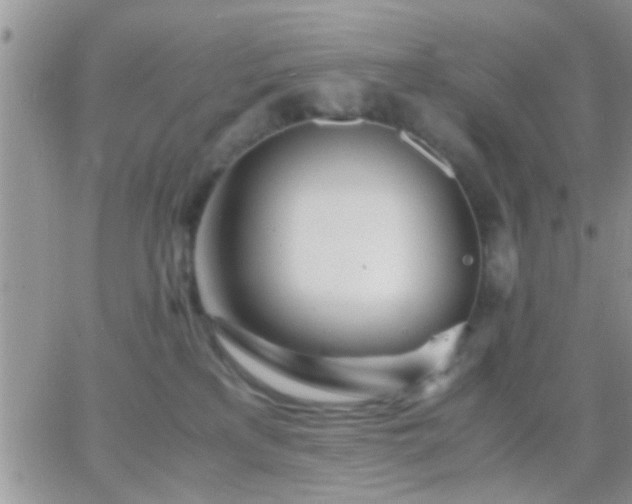 X0000065240233200602242032