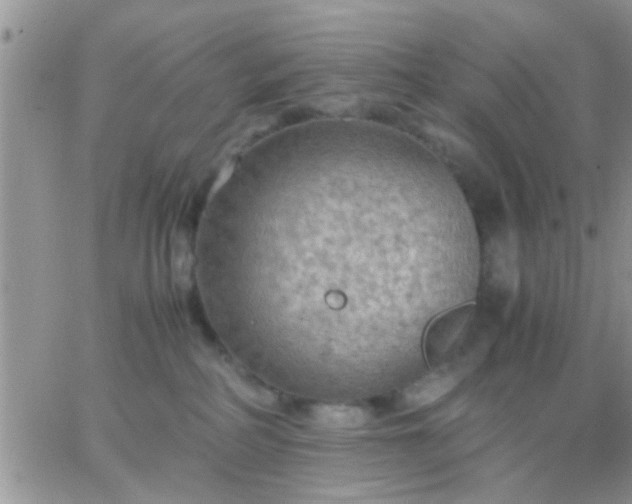 X0000065240234200602242032