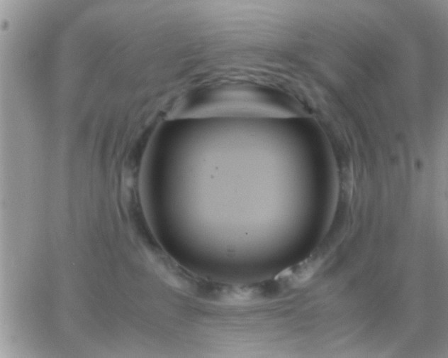 X0000065240235200602242032