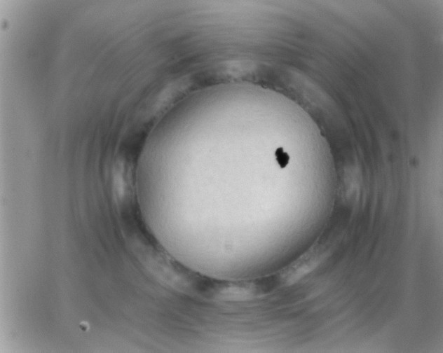 X0000065240236200602242032