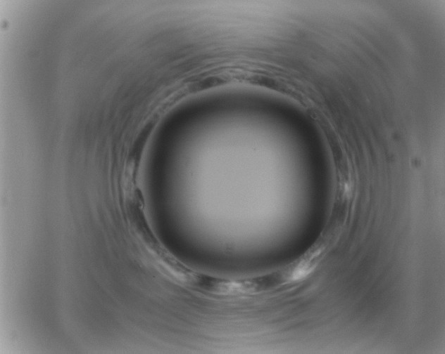 X0000065240239200602242032