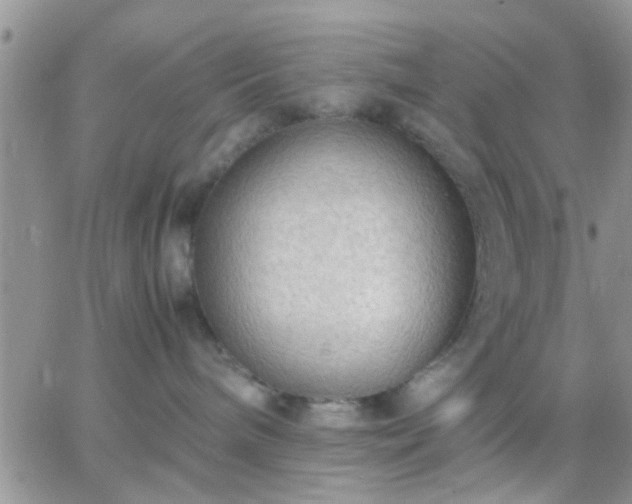 X0000065240240200602242032