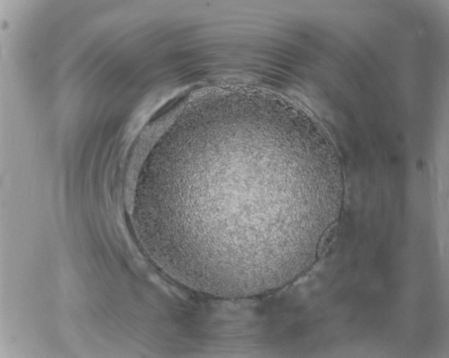 X0000065240241200602242031