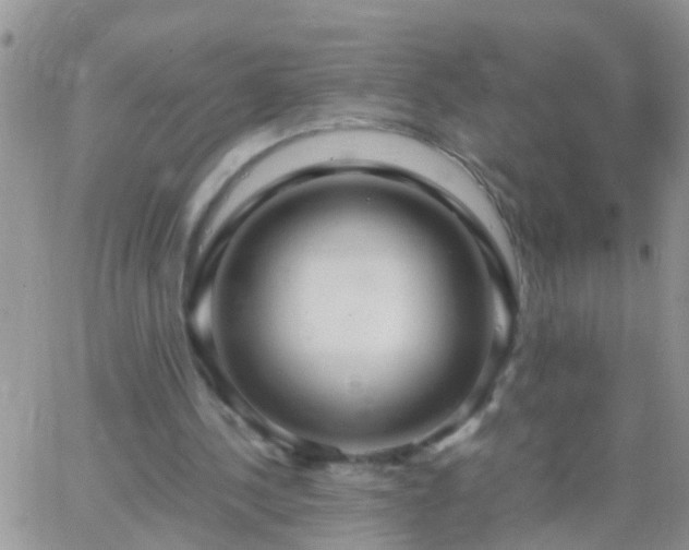 X0000065240244200602242032