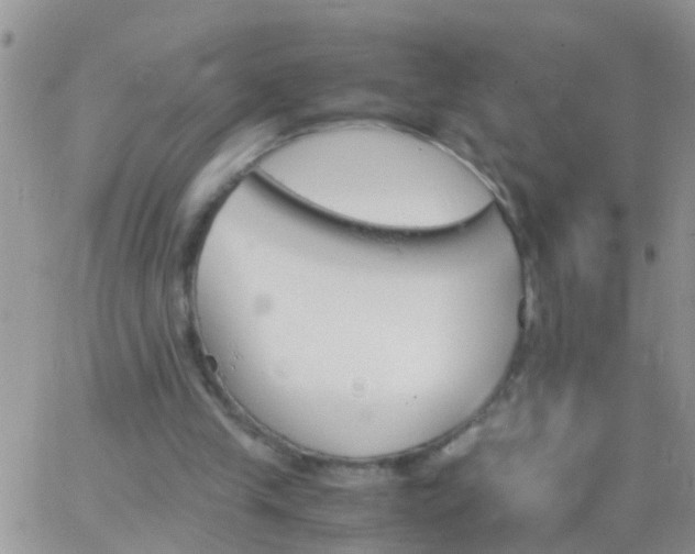 X0000065240245200602242032