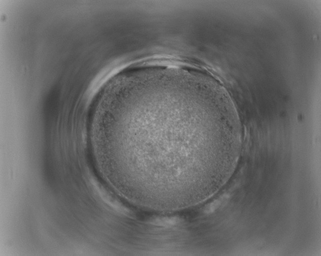 X0000065240247200602242032