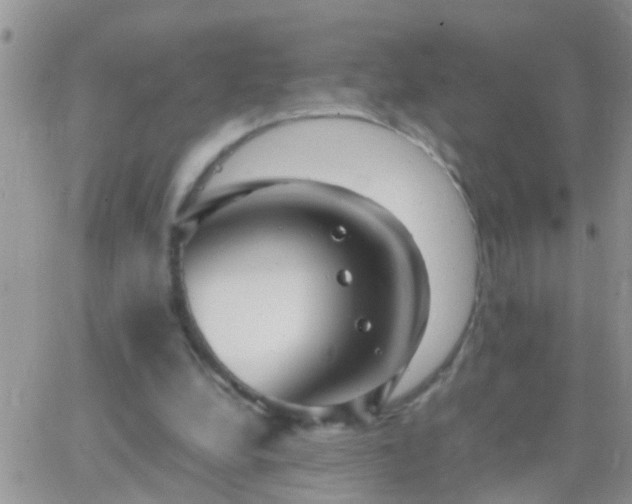 X0000065240248200602242032