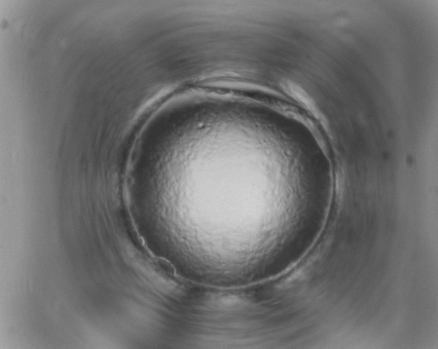 X0000065240249200602242032