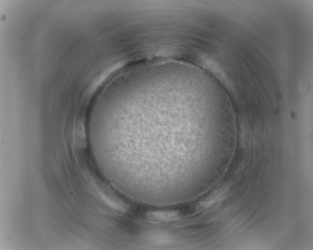 X0000065240251200602242032