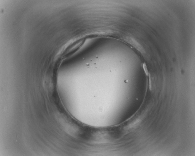 X0000065240252200602242032