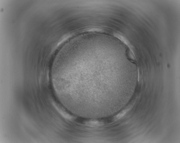 X0000065240253200602242032