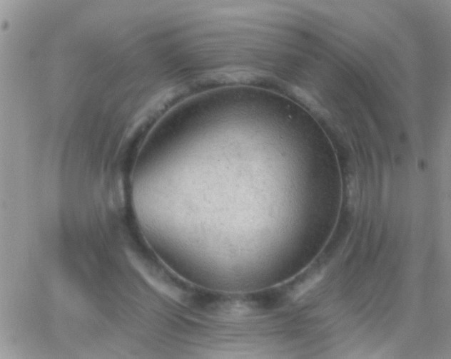 X0000065240254200602242032