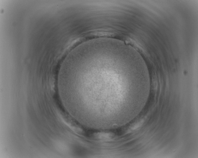 X0000065240255200602242032