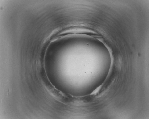 X0000065240256200602242032