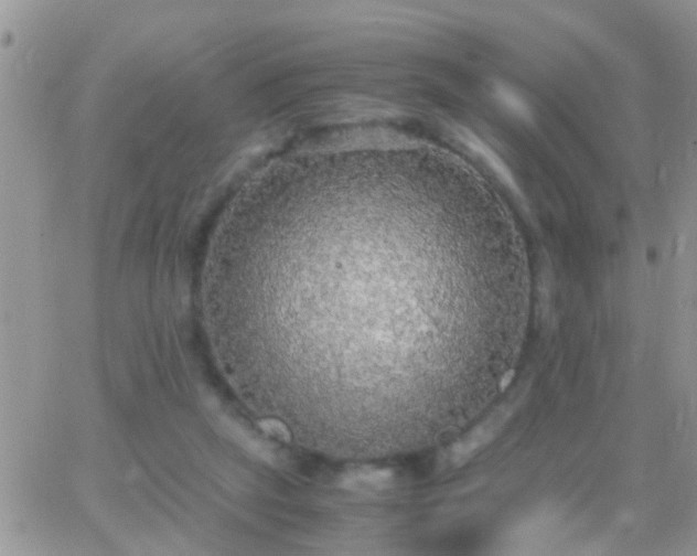 X0000065240257200602242032