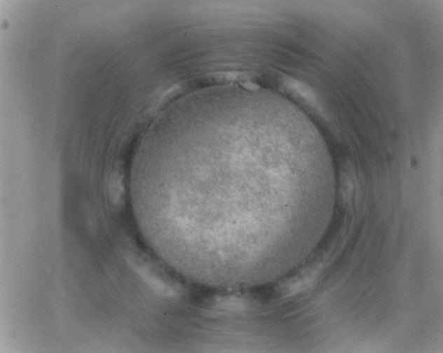 X0000065240259200602242032