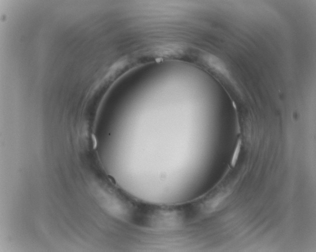 X0000065240260200602242032