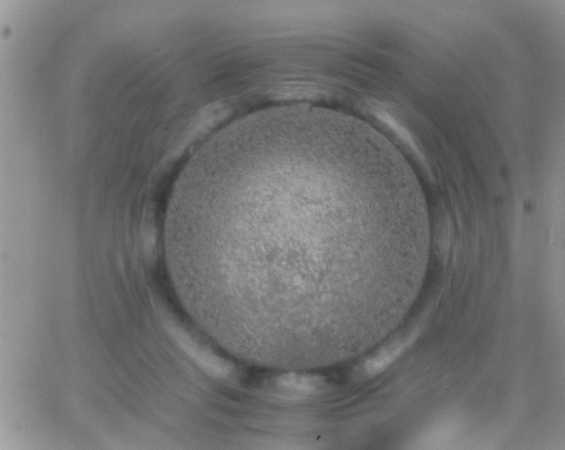 X0000065240261200602242032